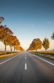 Lunga strada dritta con alberi sul lato