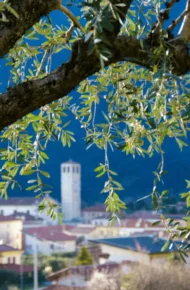 Centro di Pove del grappa